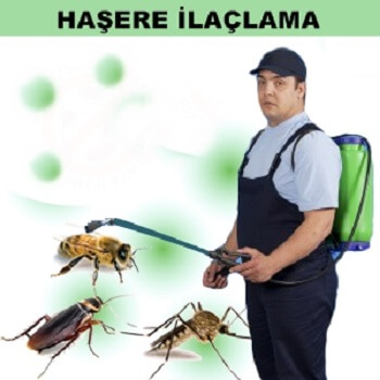 Pertek Böcek İlaçlama